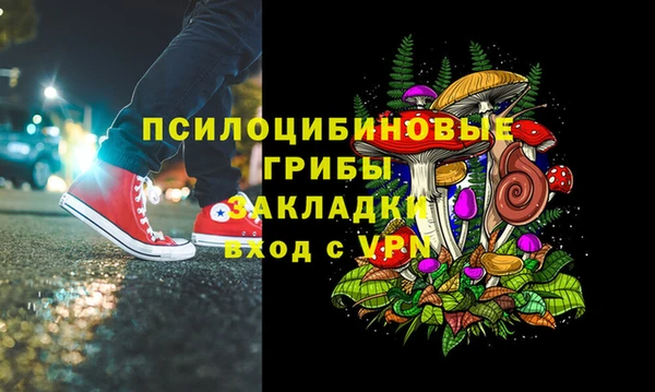прущий лед Краснослободск