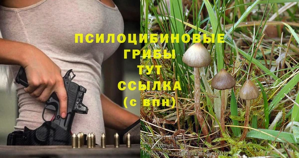 прущий лед Краснослободск